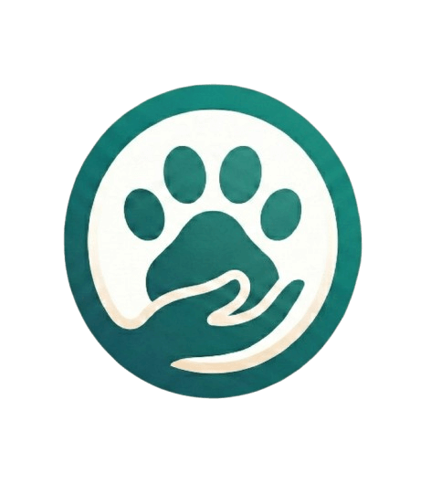 Yoldaş - Sosyal Uygulaması